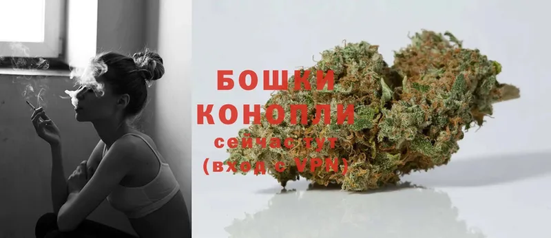 KRAKEN как зайти  цены наркотик  Семилуки  Конопля OG Kush 